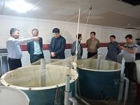 بازدید مدیر کل دفتر بازسازی ذخایر آبزیان سازمان شیلات ایران از کارگاه آبزی پروری مرکز تحقیقات شیلاتی آب های دور (چابهار)