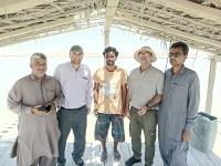 بازدید از مزارع پرورش میگو سایت شهید صنعتی گواتر